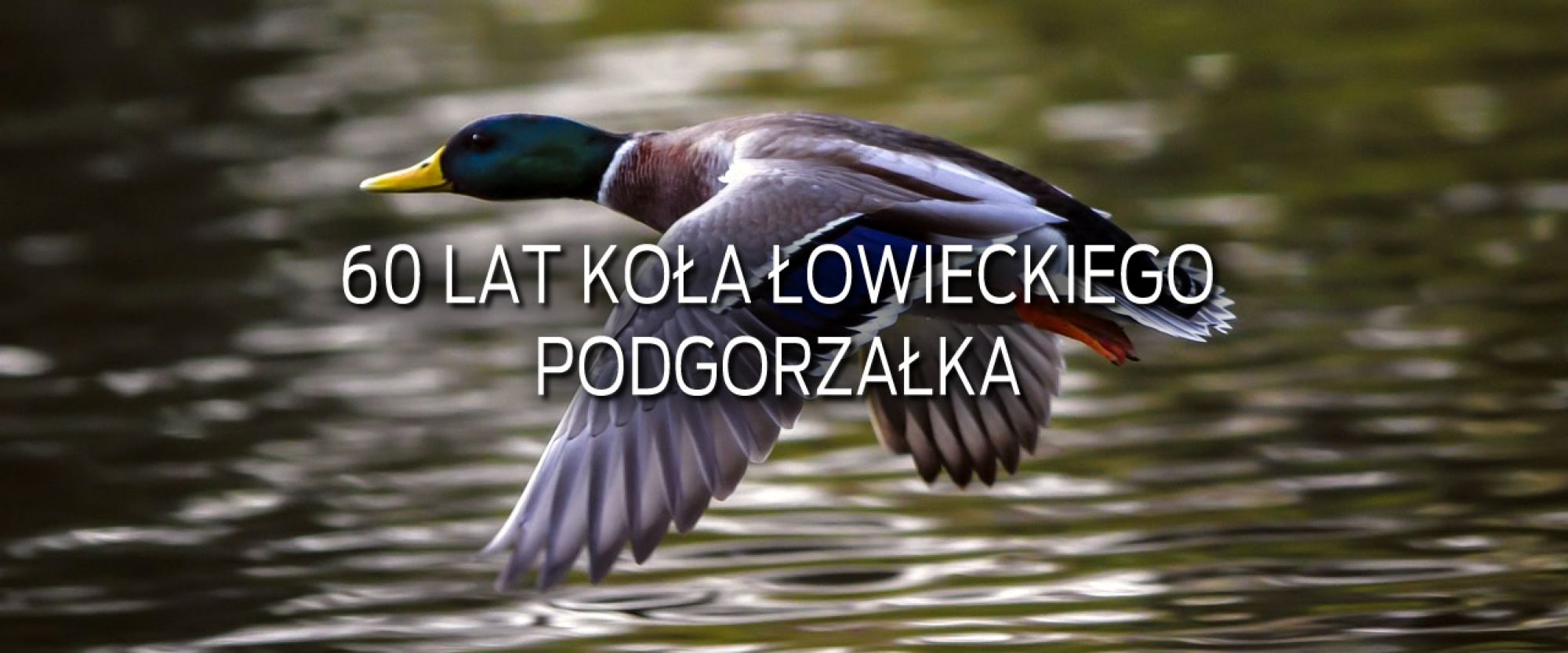 Jubileusz 60-lecia Koła Łowieckiego „PODGORZAŁKA”