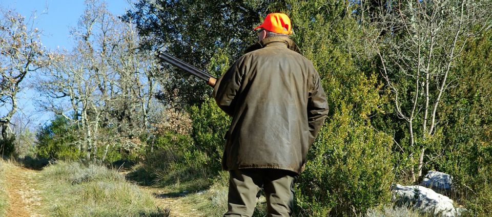 Szkolenie kandydatów na selekcjonerów zwierzyny płowej